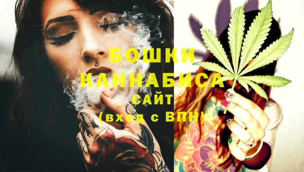 эйфоретик Липки