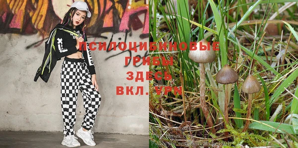 каннабис Лихославль