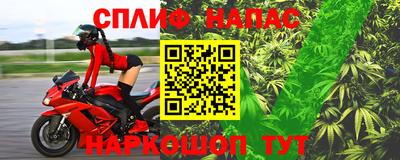 спиды Дубна