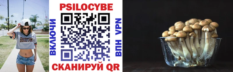 Галлюциногенные грибы Cubensis  купить   mega ССЫЛКА  Долгопрудный 