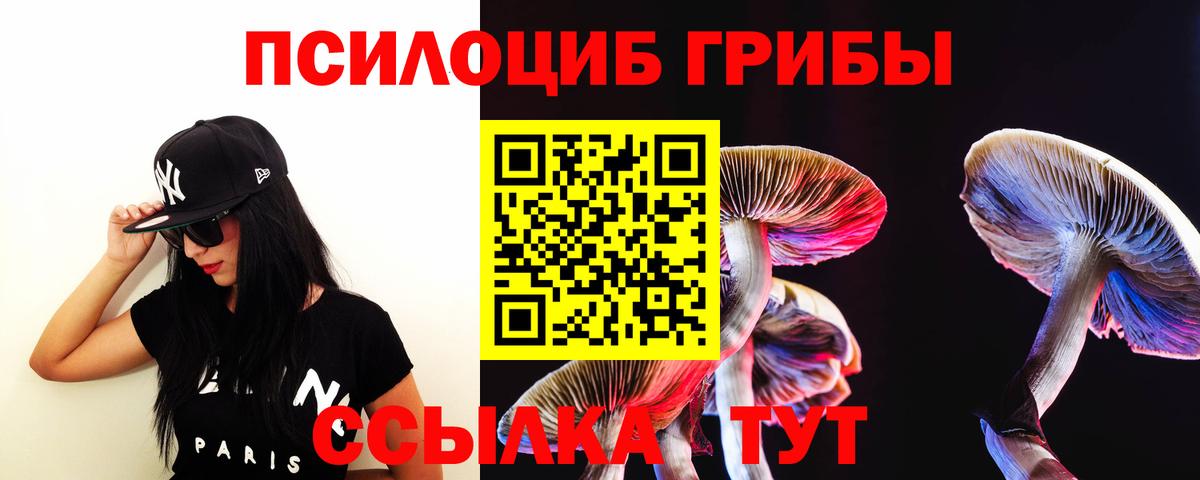 магазин продажи   Вход с VPN  Долгопрудный  Галлюциногенные грибы Magic Shrooms  Галлюциногенные грибы MAGIC MUSHROOMS 