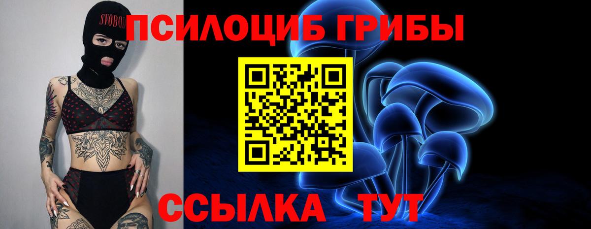 Галлюциногенные грибы мицелий  Галлюциногенные грибы мицелий  Долгопрудный 